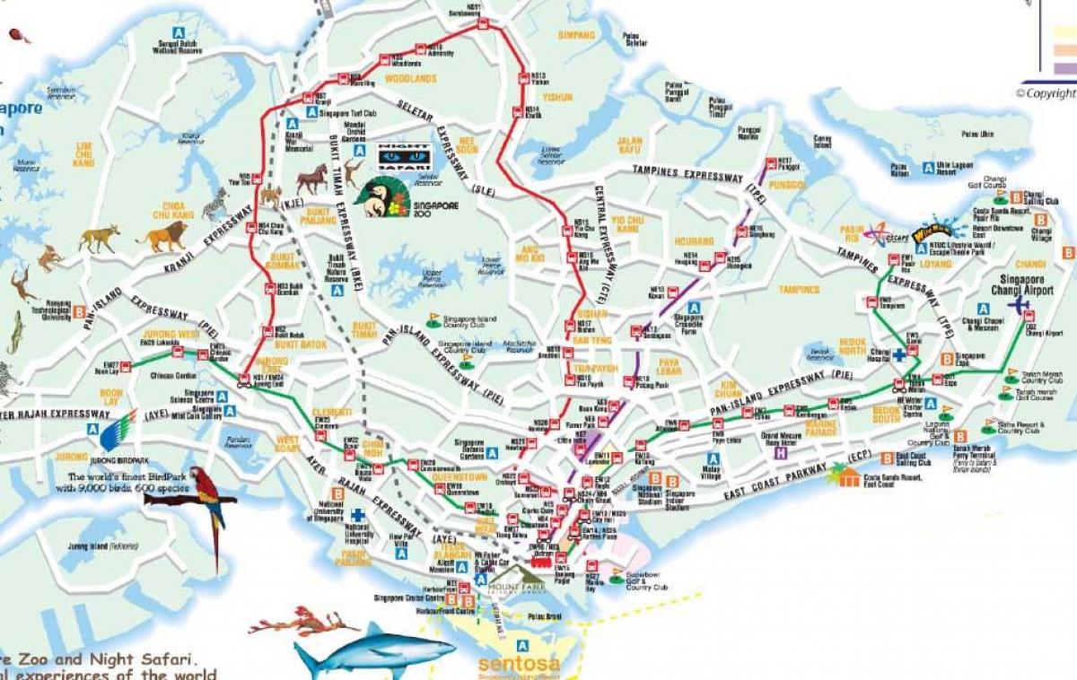 peta jalan dari Singapura