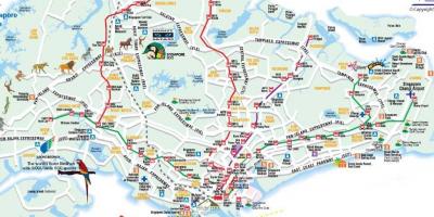Peta jalan dari Singapura